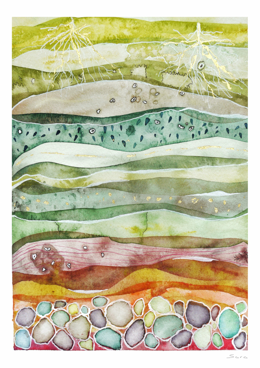 Strata