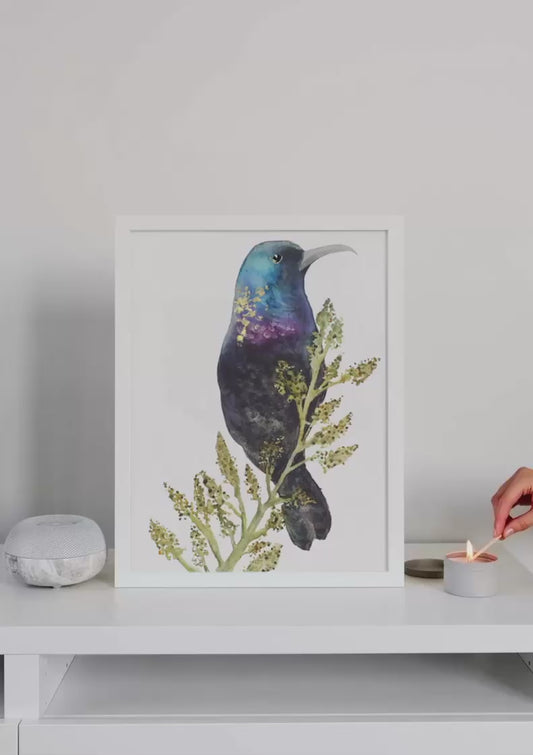 Gaza Sunbird